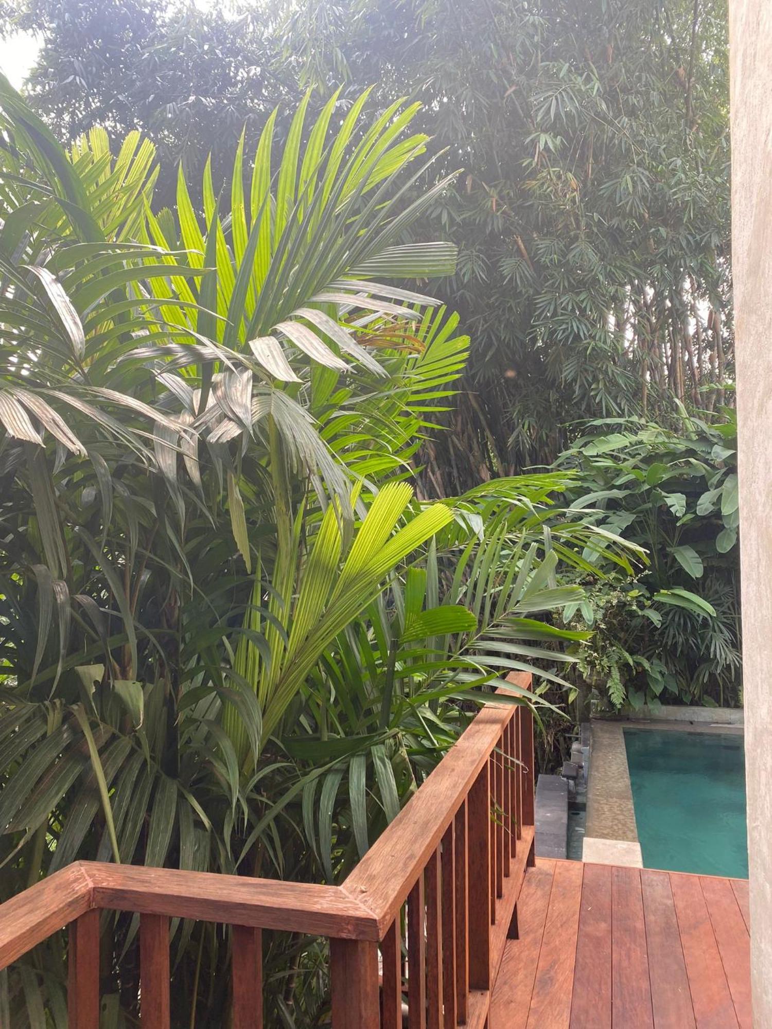 Villa Purnamasari Ubud Buitenkant foto